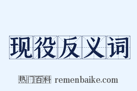 现役反义词是什么意思的图片